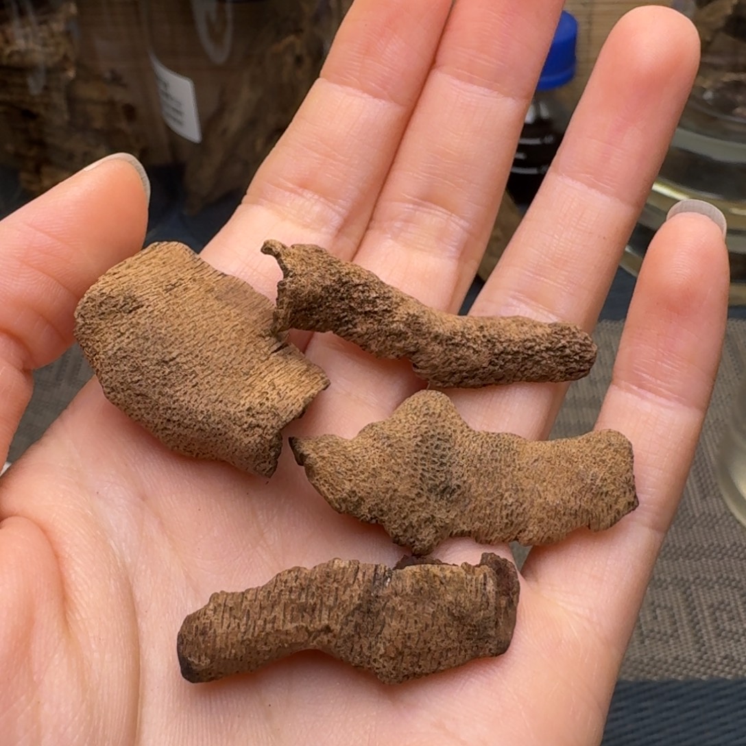 D***r木海南文昌沉水红土料5.5克