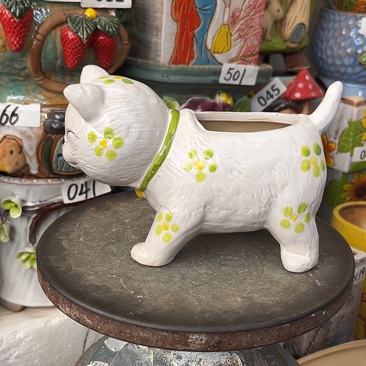 粗陶材质多肉花盆福利老板开的