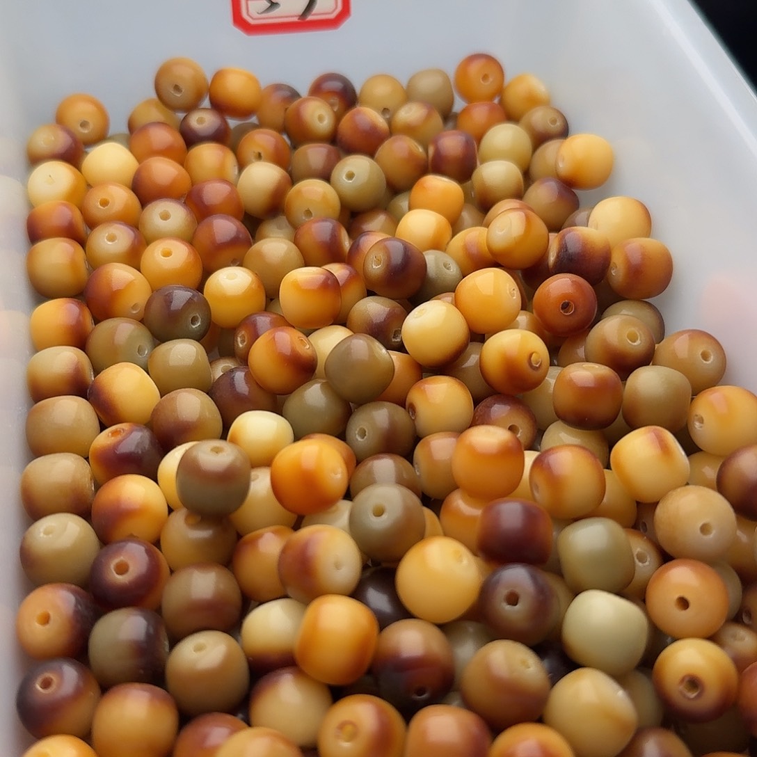 吊坠菩提根/象牙果50颗红烧肉11通