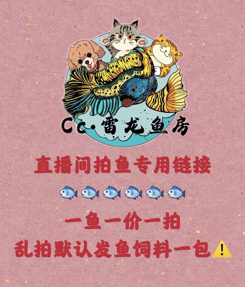 【Cc雷龙】直播专用拍鱼链接
