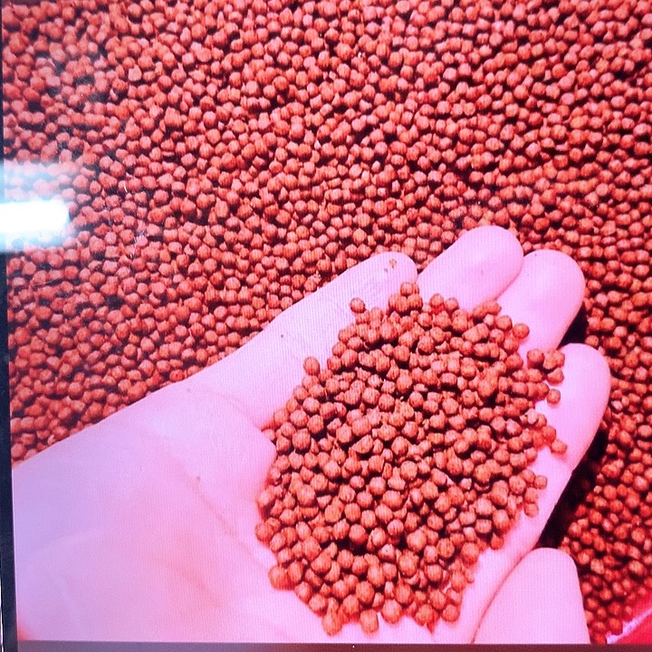 罗汉鱼饲料冰冻保存