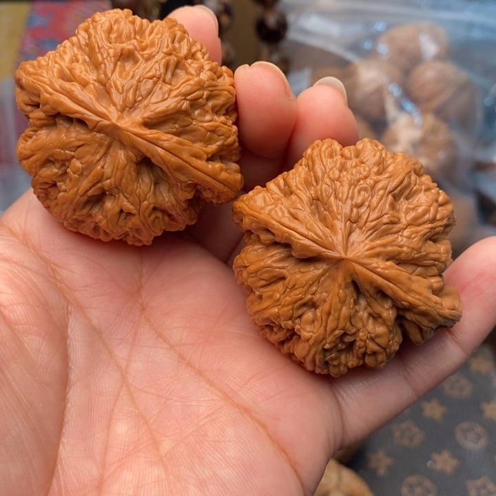核桃大粗筋48尺核桃