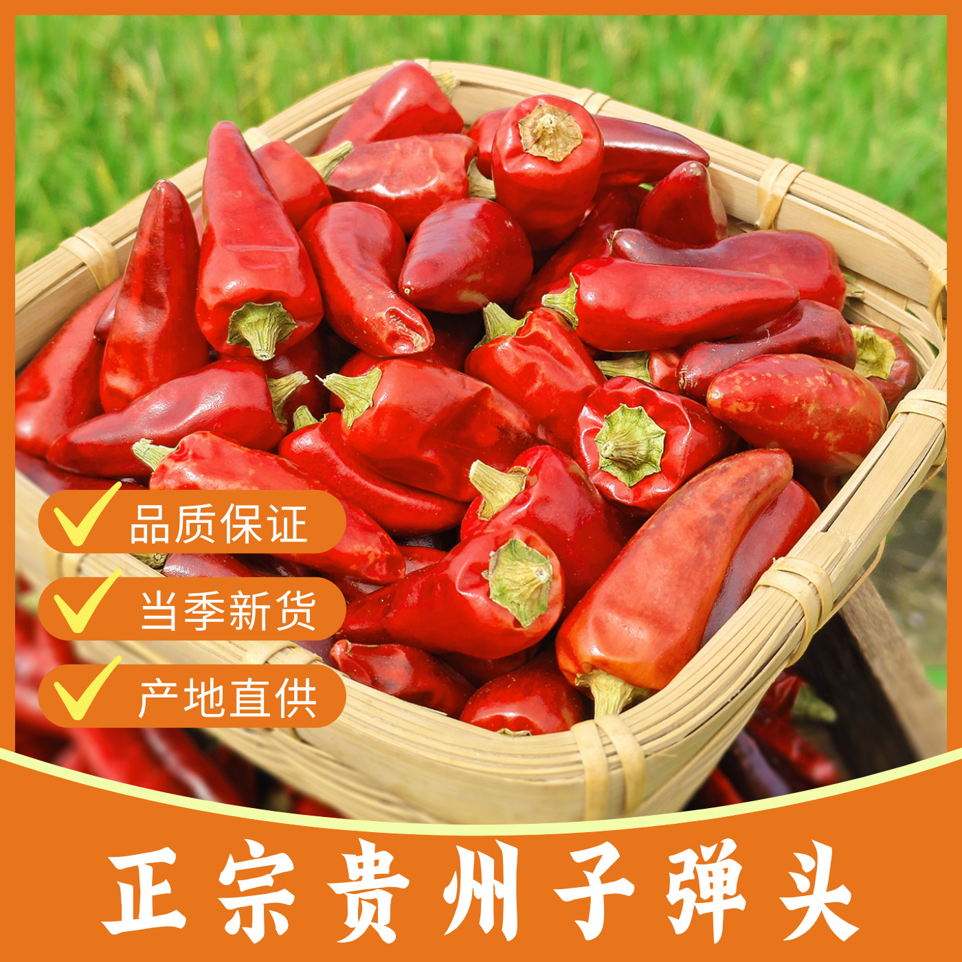 正宗贵州子弹头干辣椒中辣超香辣子鸡干锅卤料火锅麻辣烫增香商用