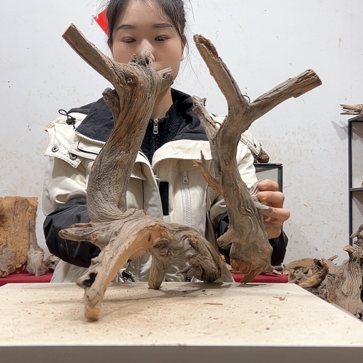 柏木天****源我们的生活也