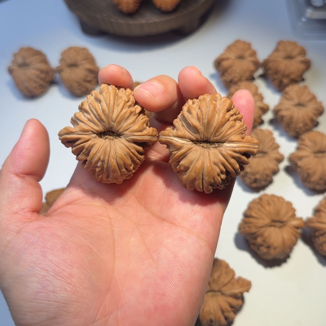 核桃手串/手链43尺寸 拱桥楼肉款