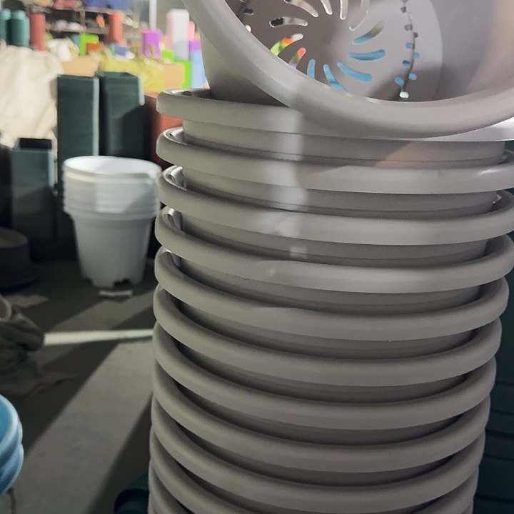 四季6号新灰白无托10个特价