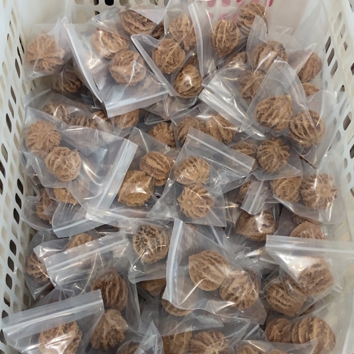 吊坠文玩核桃野龙（两单起拍）