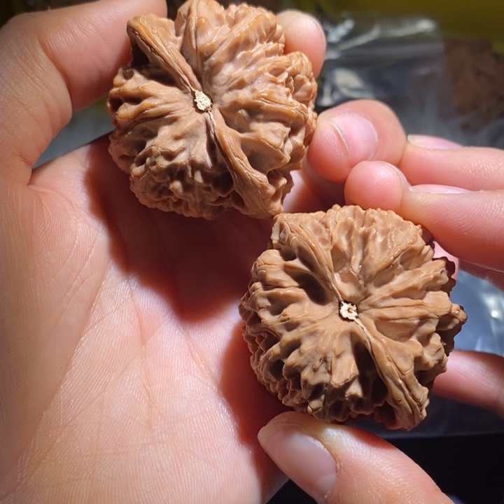 和***美文玩核桃吊坠精品课程的教学