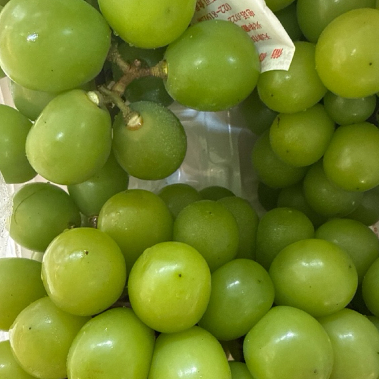 小框晴王葡萄阳光玫瑰四斤净果三串当季新鲜现摘整串饱满多汁无籽山东省