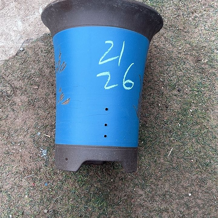 红陶紫砂工艺厂……紫砂工艺厂