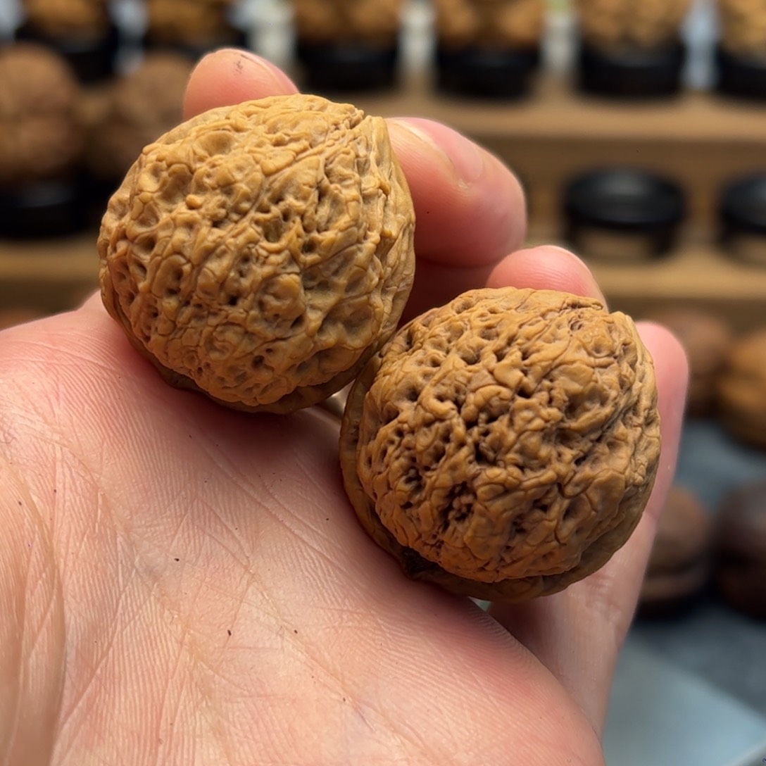 文玩核桃把件?***?铁核桃17-29