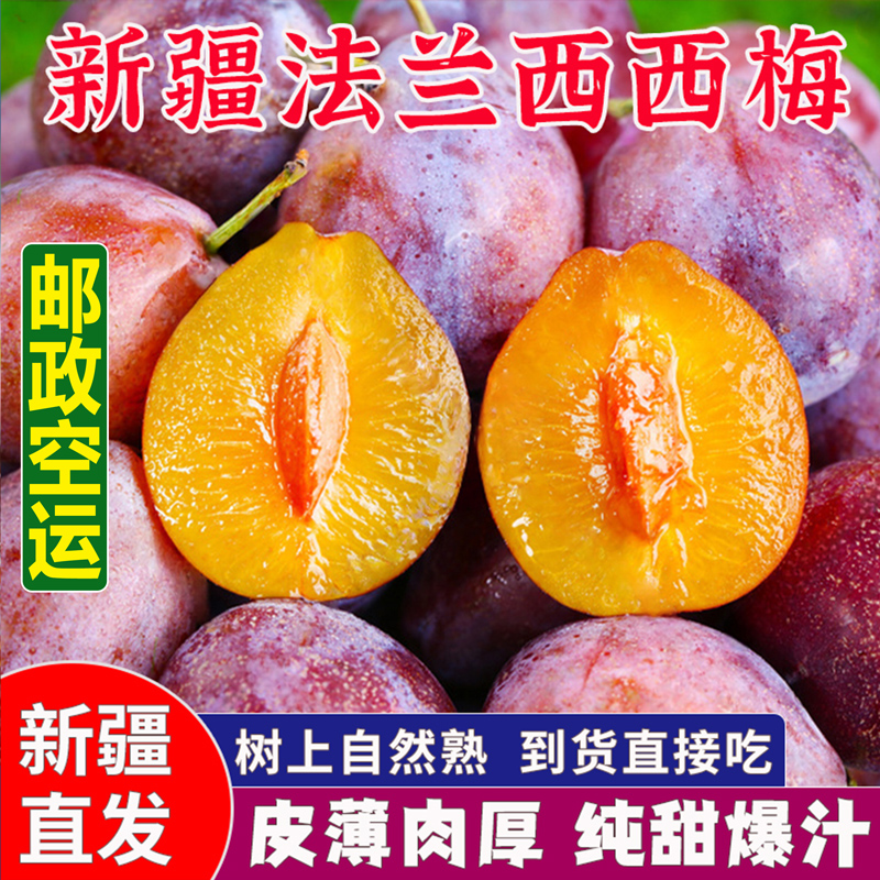 新疆空运直发喀什法兰西西梅孕妇现摘当季新鲜水果鲜甜多汁