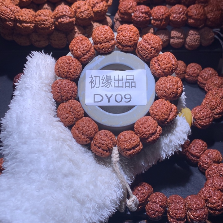 吊坠金刚菩提22尺梁五面龙梅花定制