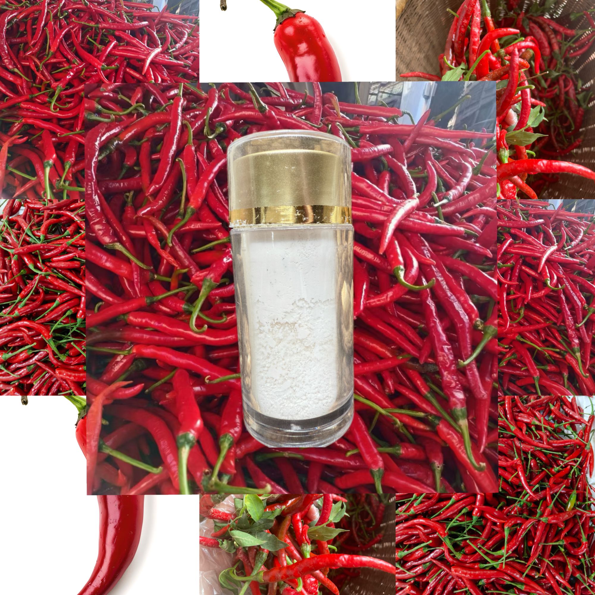 【小孙收山货专属】GZ005 重量125g  