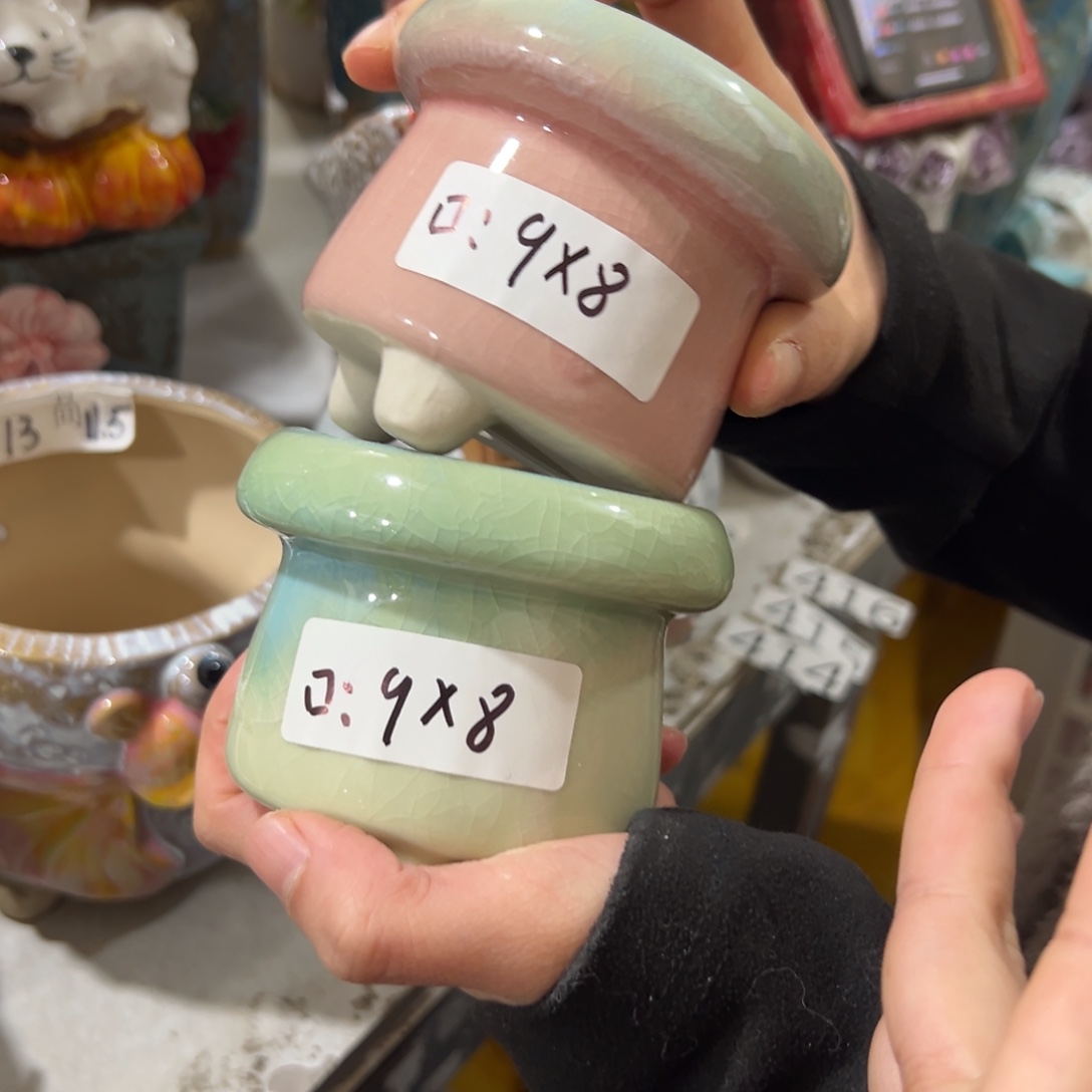 花盆，拍满20发货，退款拉黑