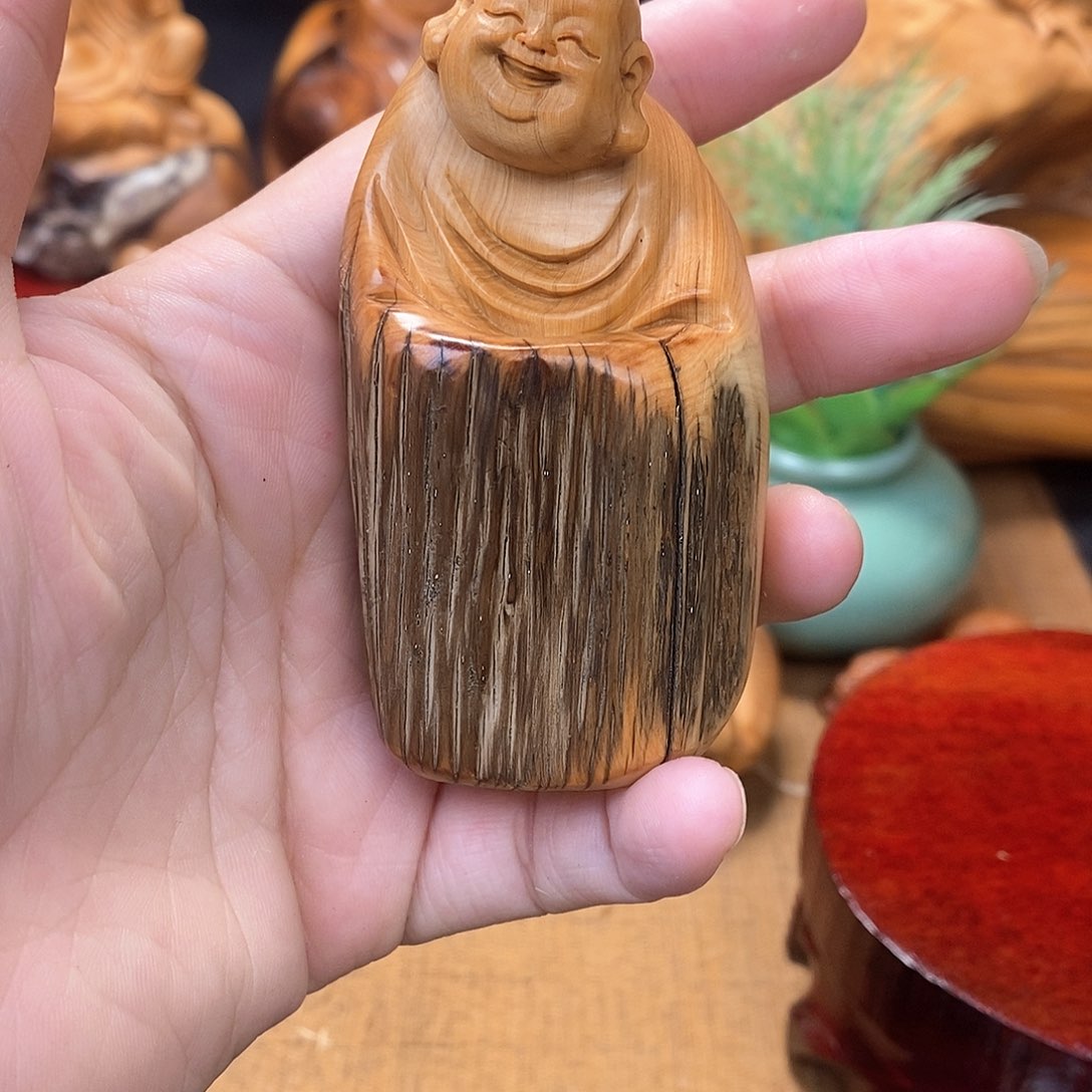 柏木（崖柏）一物一图