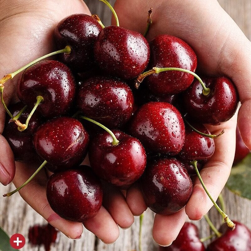 【金标空运】智利进口空运车厘子顺丰/京东4J净重2-5斤内附果径卡