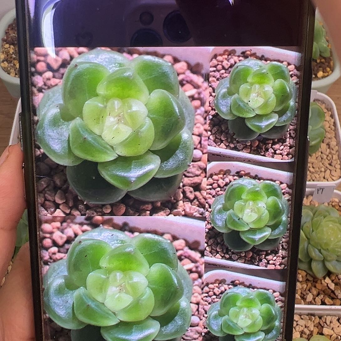 1366状态图。       