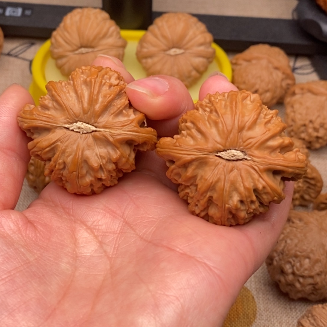 '***…文玩核桃把件白狮子