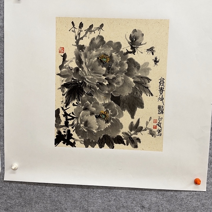 国画花鸟的翅膀和翅膀是白色