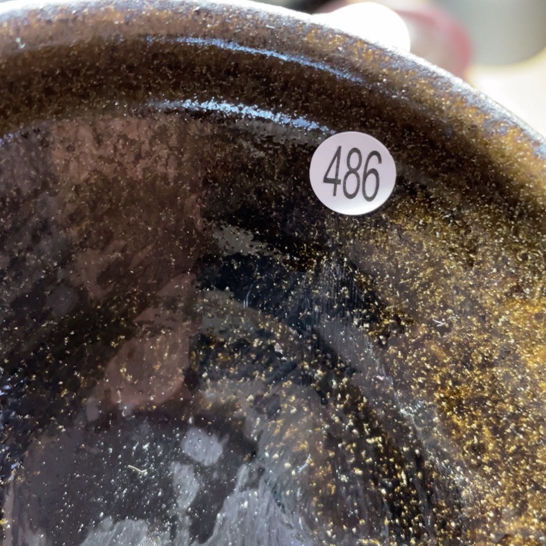 茶盏66666666666666666