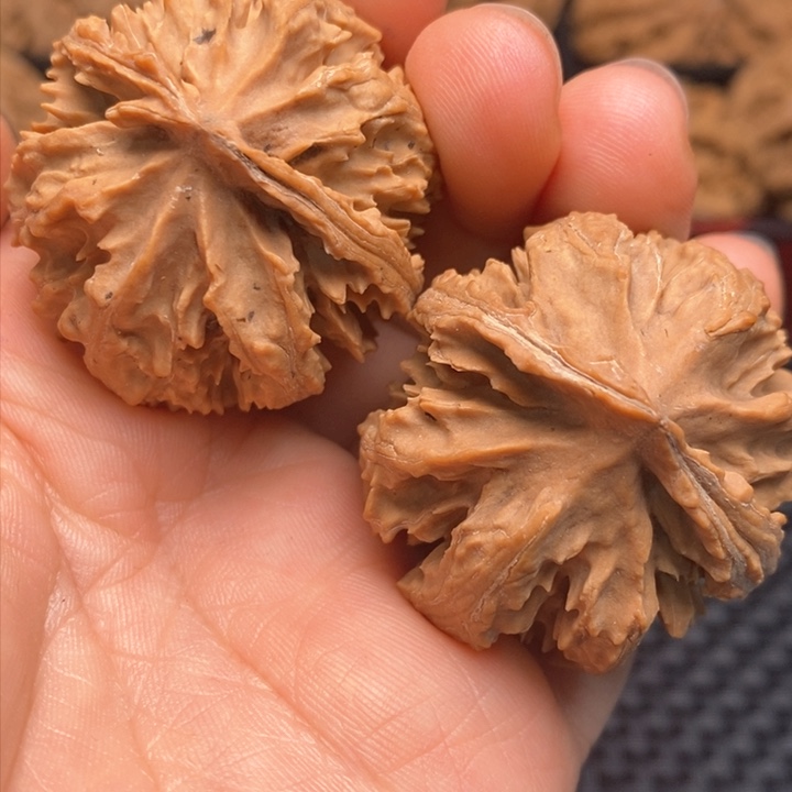 秦岭野生文玩核桃