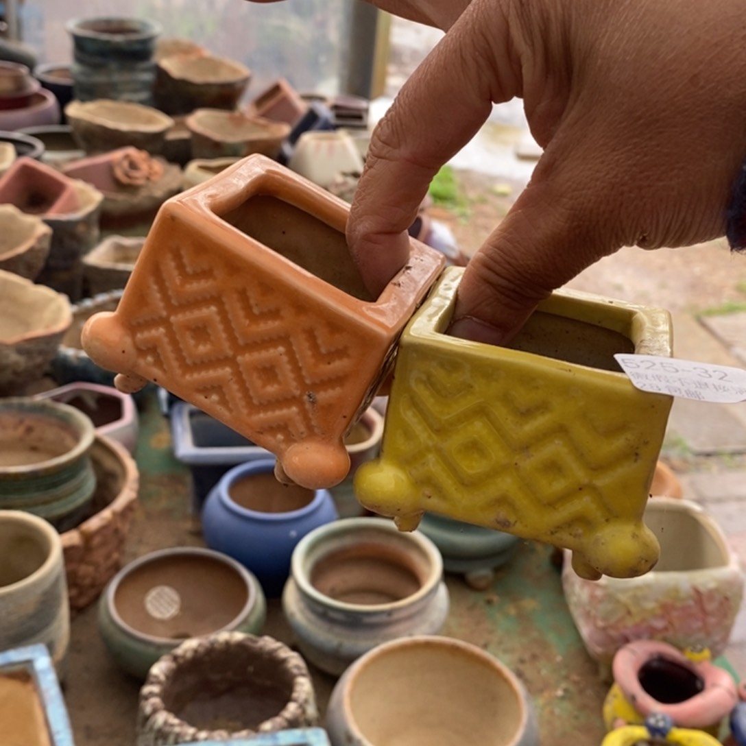 32号多肉盆口径4小可爱两个组合