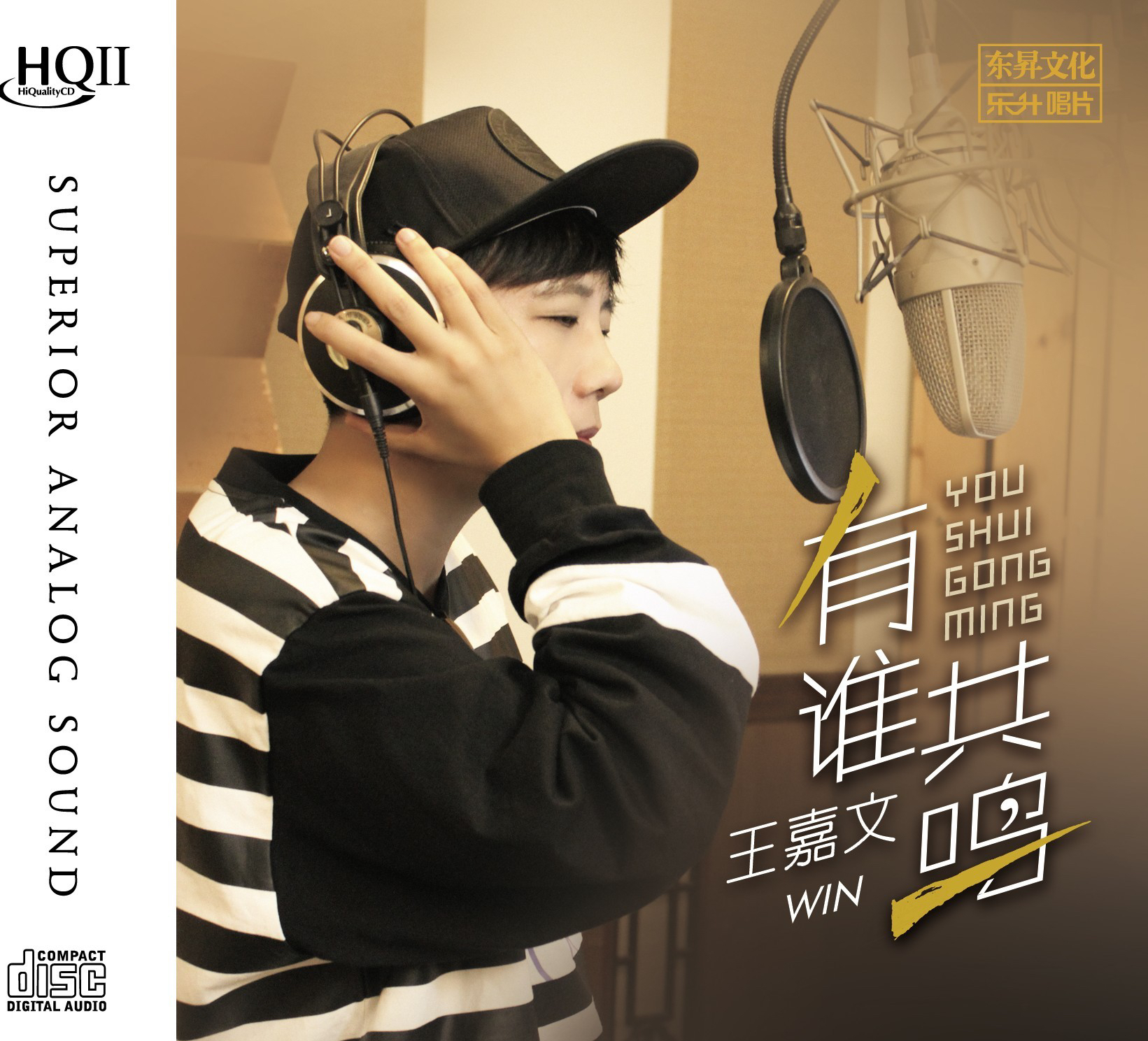 王嘉文《有谁共鸣》发烧专辑原音1:1母盘直刻