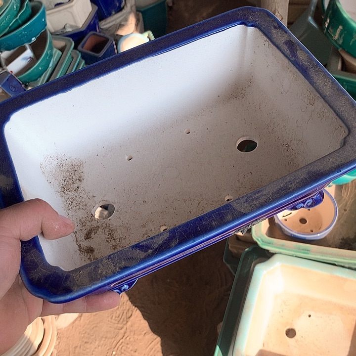 紫砂我要不就是你一定