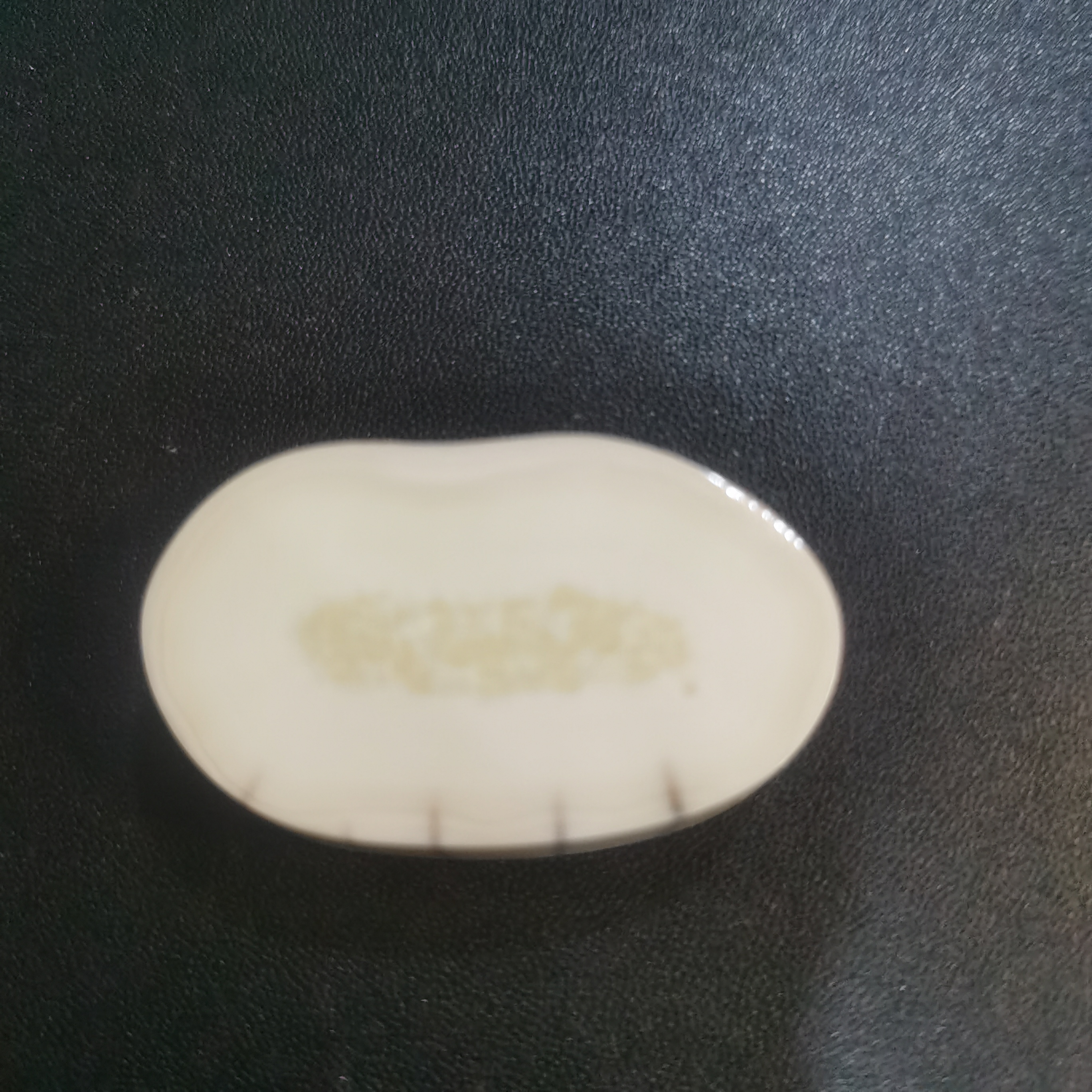 猛犸虬饼子kk929