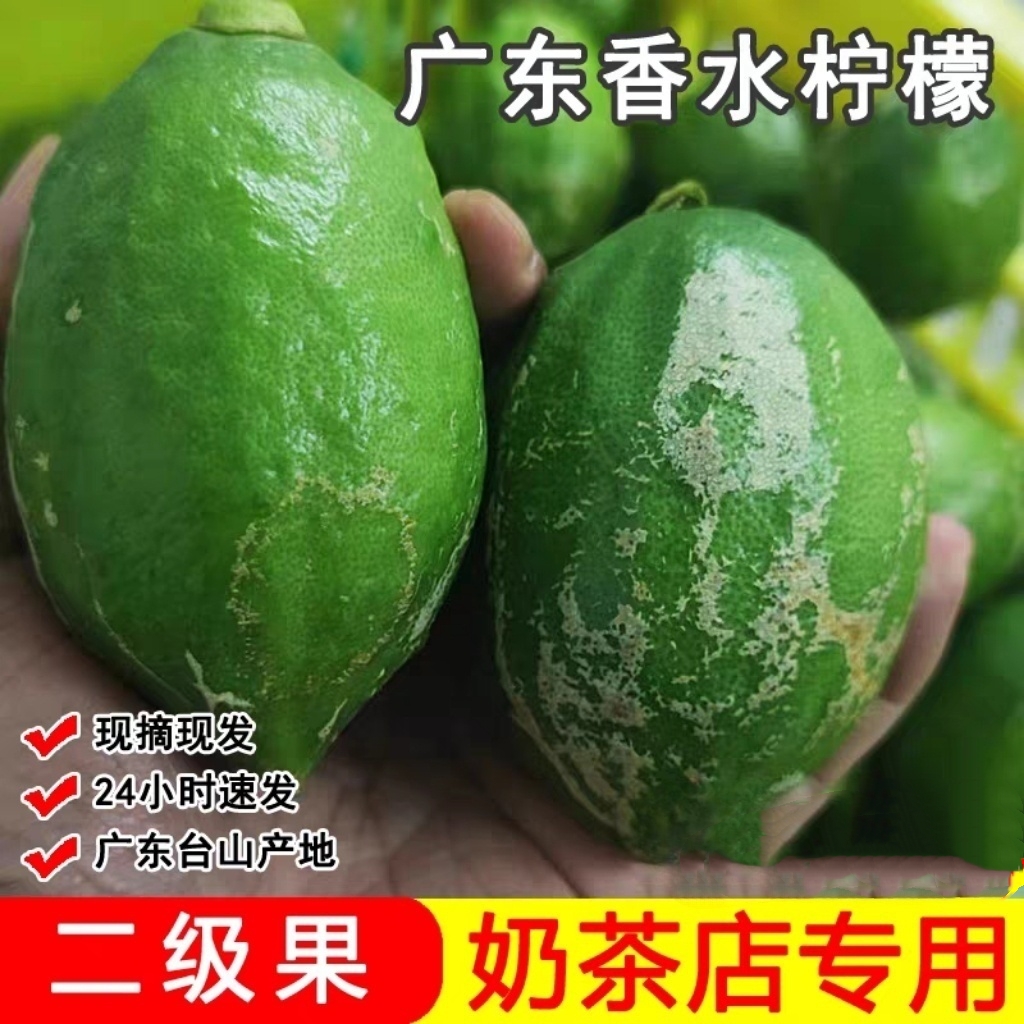 广东香水柠檬二级果奶茶店专用新鲜现摘现发无籽柠檬奶茶摆摊专用