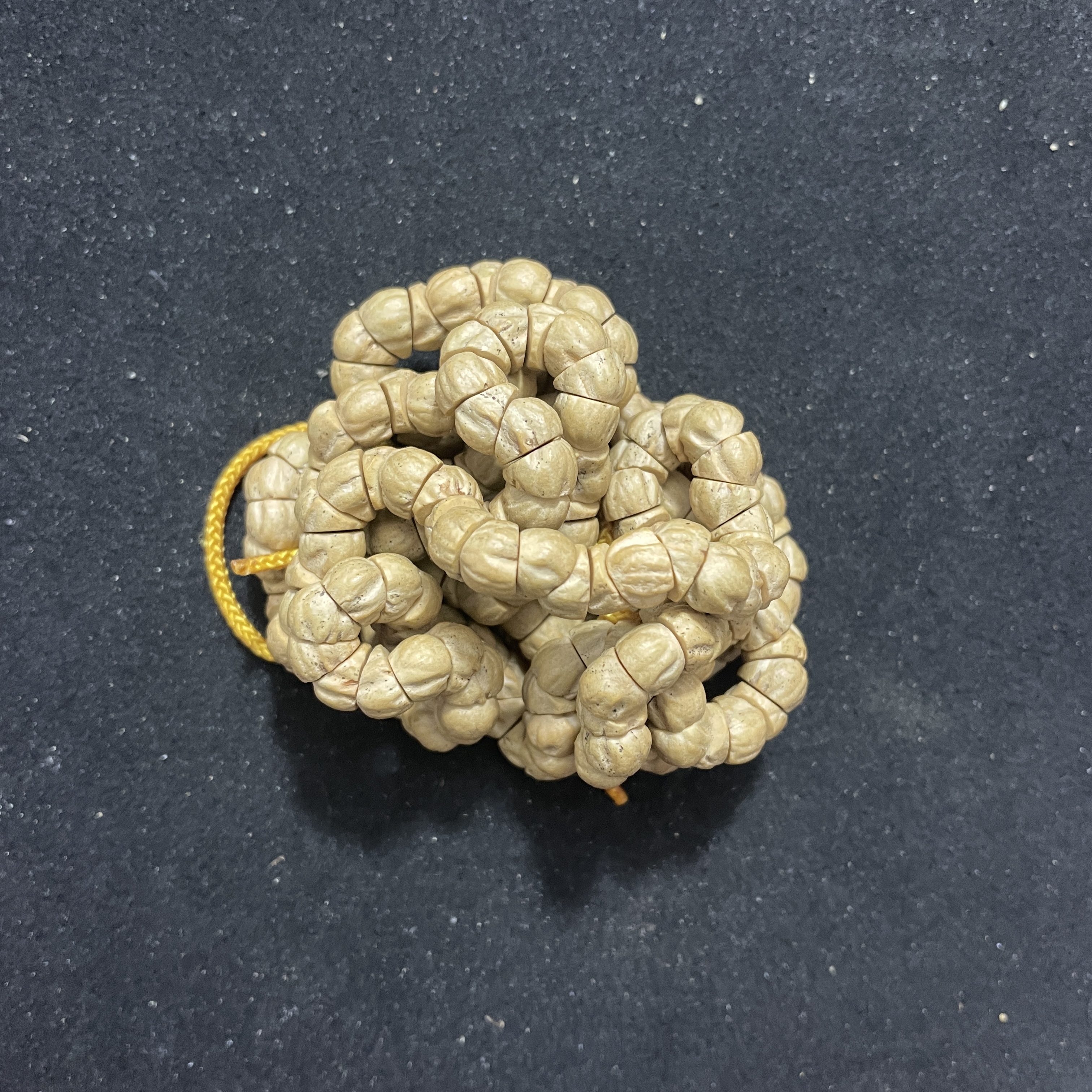 热振百香籽几何猪大肠