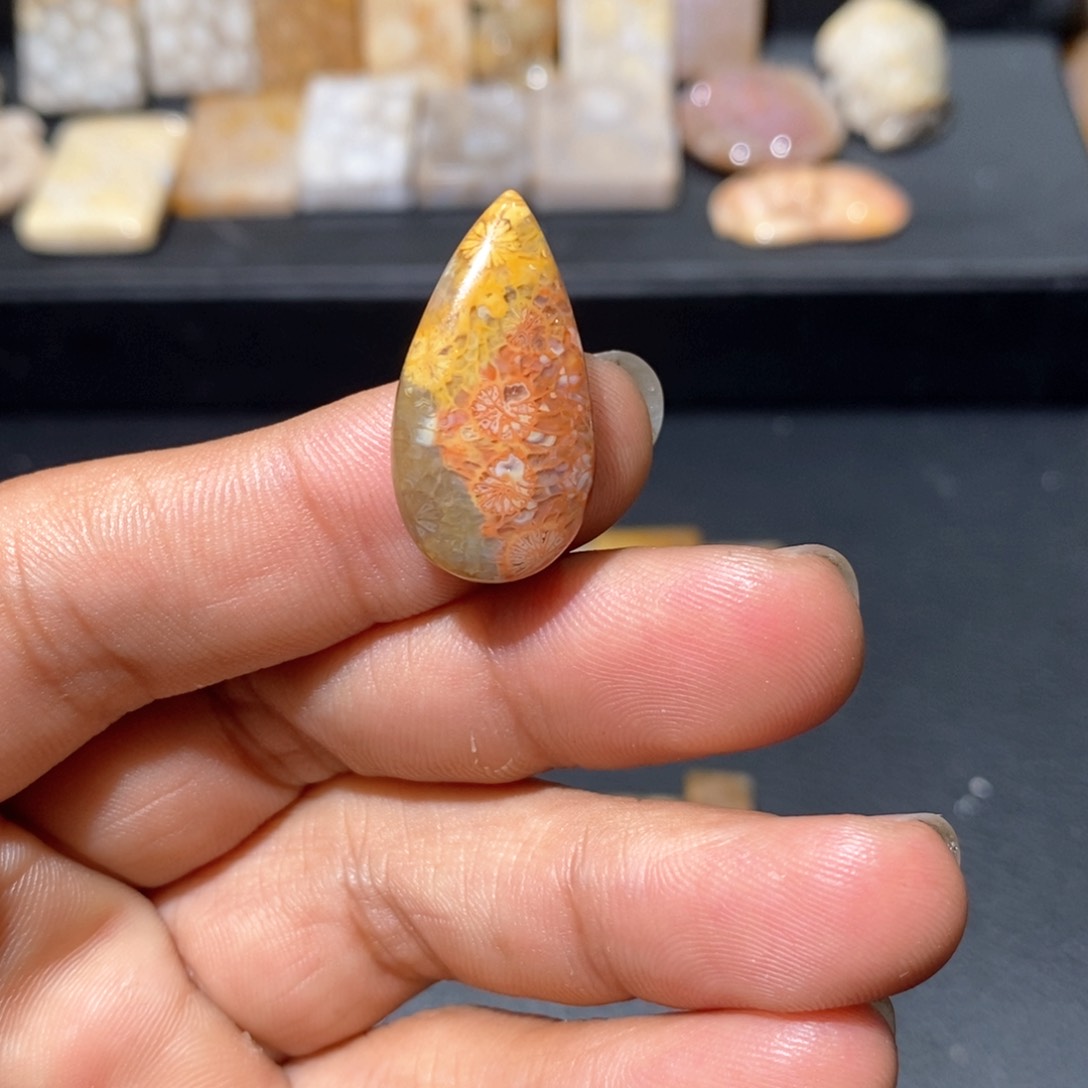 【闪购商品】硅化玉颈饰未镶嵌