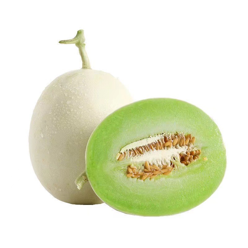海南奶香密瓜清脆甘甜