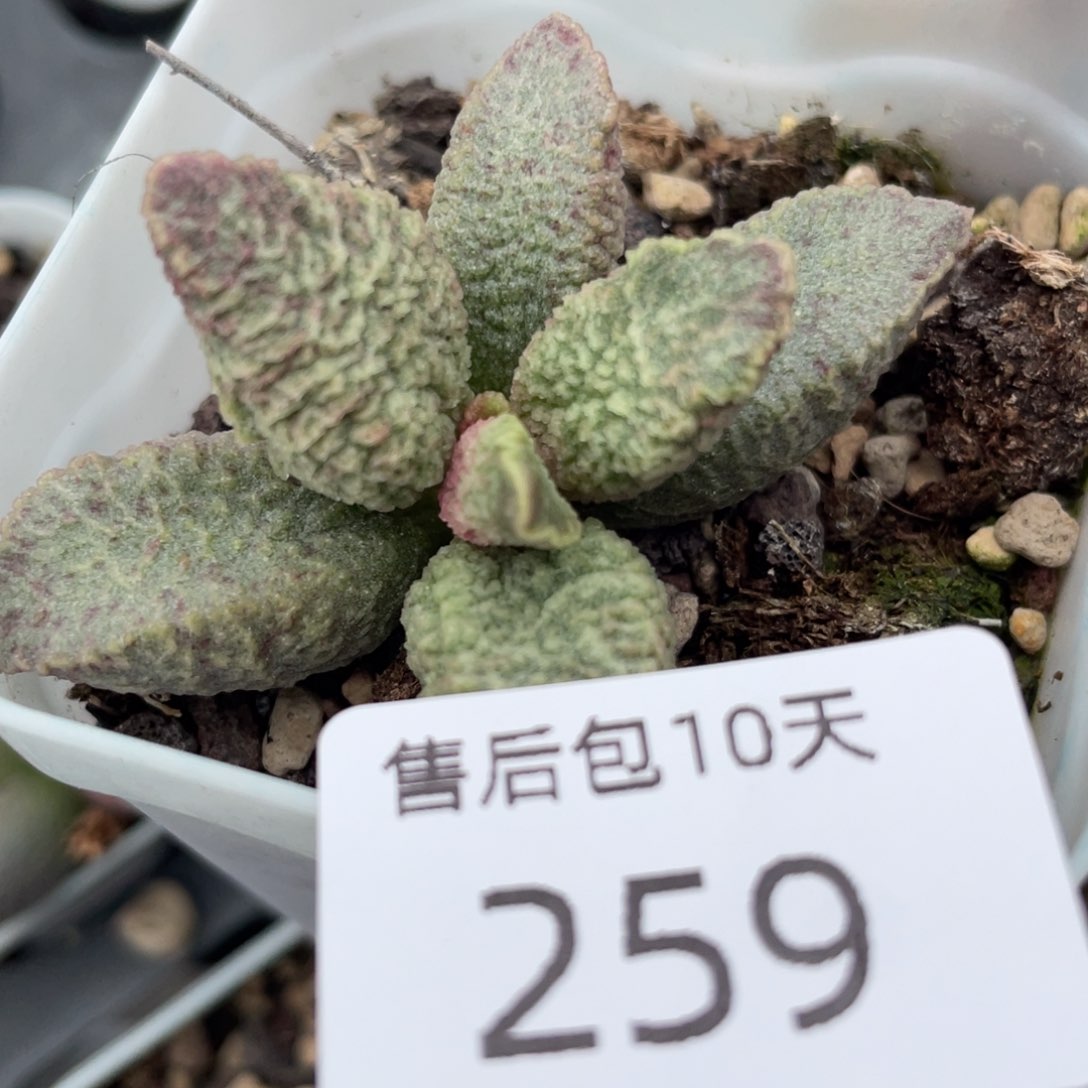    福利。    福利。 