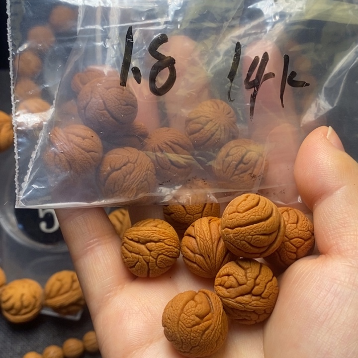 吊坠桃核秦岭山野生桃核