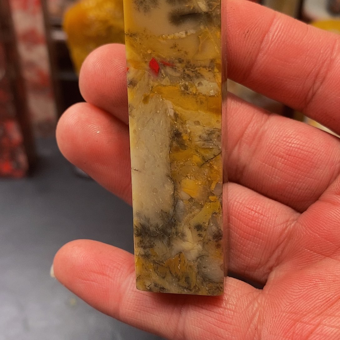 昌化石1**熊昌化鸡血石印章