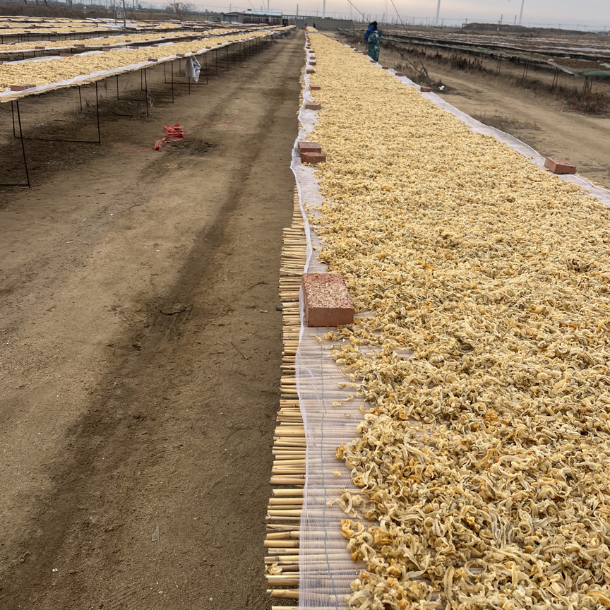 莱州当地淡干半干扇贝裙边京东包邮