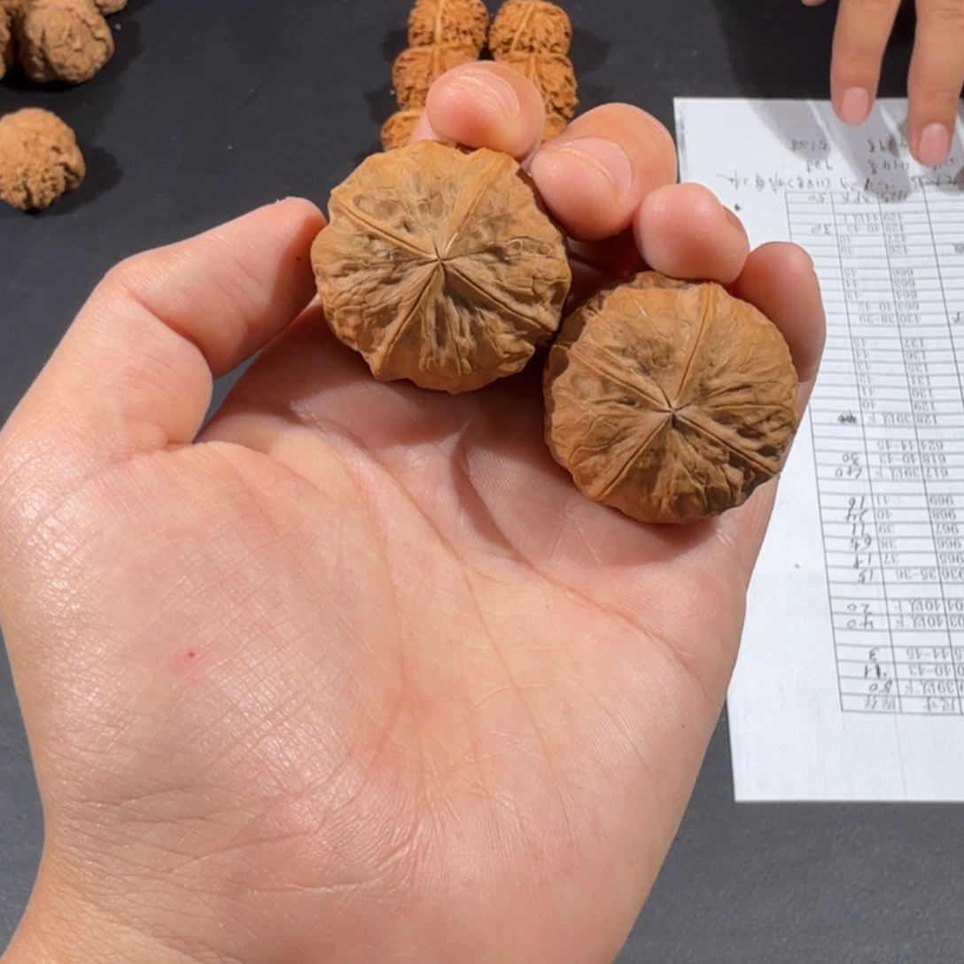 文玩核桃把件95号玉火金砖四棱