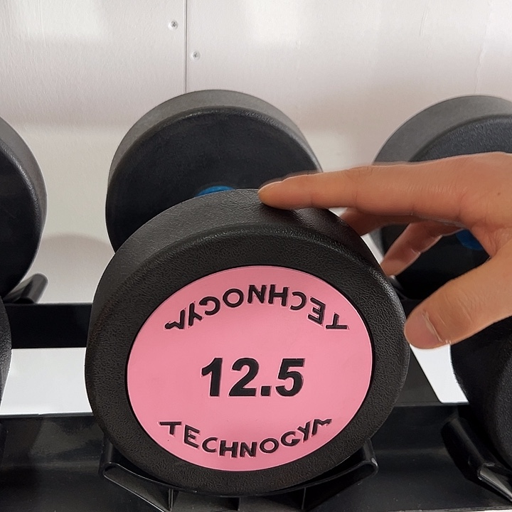 全新纯钢泰诺哑铃12.5公斤一对