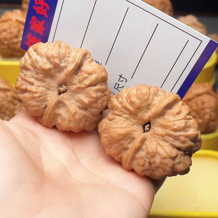 木质类?****¹蛤蟆头蛤蟆