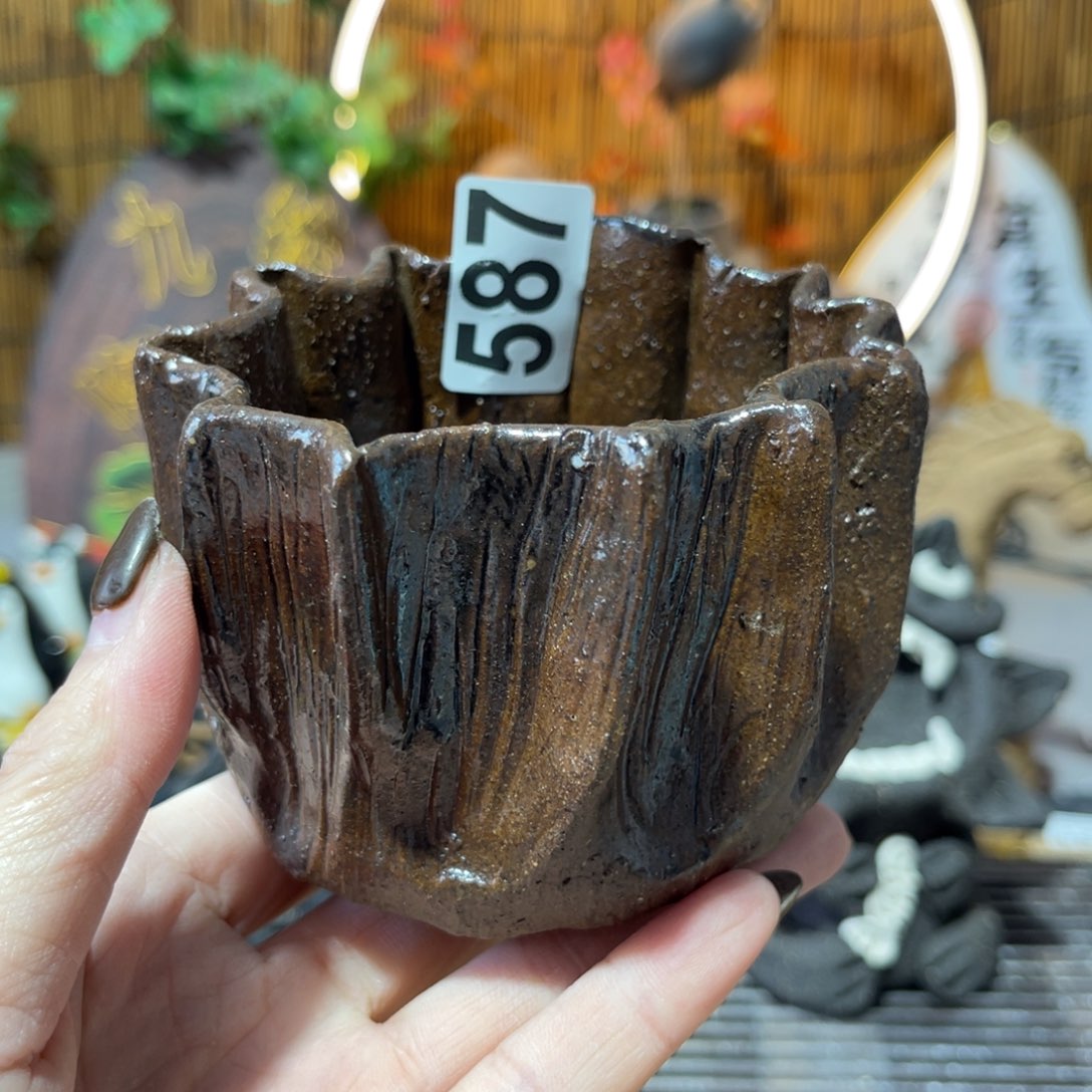 木村信弘柴烧保平