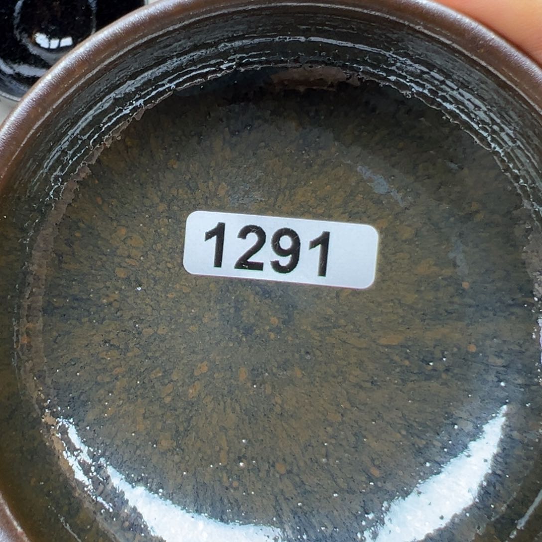 茶盏豹*你说了什么啊这句真的