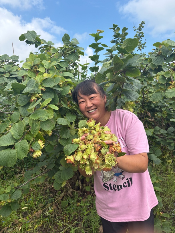 东北新鲜带绿皮大榛子现摘现发应季美味营养丰富