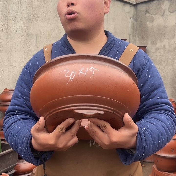 紫砂紫砂花盆盆栽