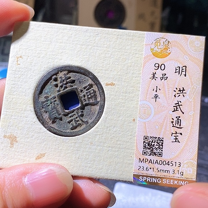 铜洪武。华夏天玺总店513