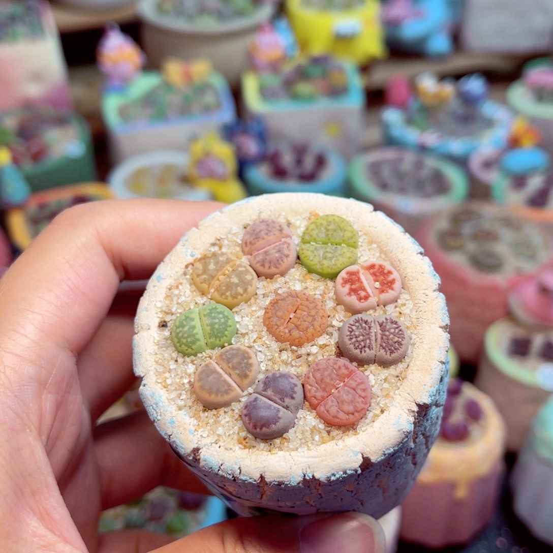 478。88888888888888888888