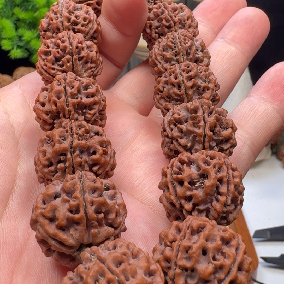 手串金刚菩提蜂王籽