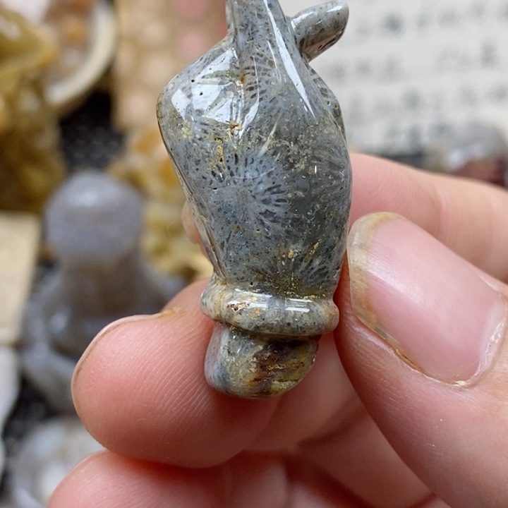 颈饰未镶嵌硅化珊瑚（珊瑚玉）有瑕 小