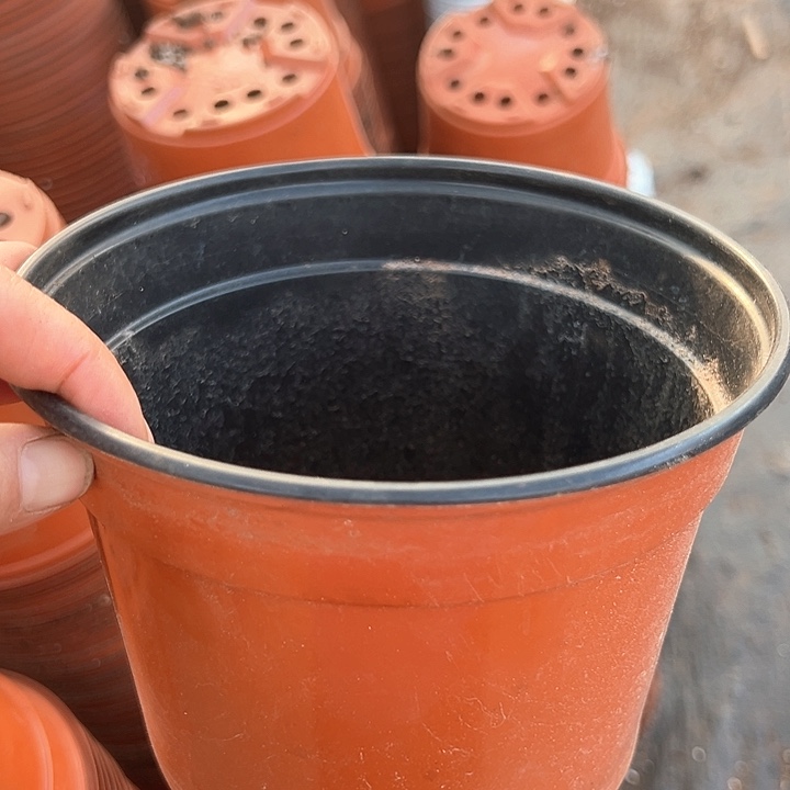 塑料口径16高度13红繁殖盆一组20个